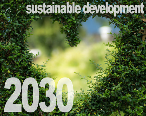 n. 13 | uno zoom sugli SDGs 15 e 17 