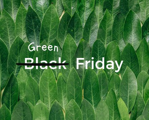 N° 58 | GREEN FRIDAY