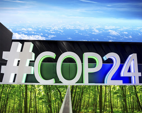 N. 28 | COP 24 – AGIRE INSIEME È L’UNICA VIA D’USCITA