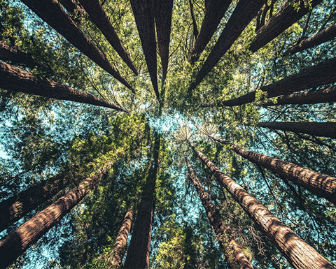 MODA ETICA: COS’È E PERCHÉ NON POSSIAMO IGNORARLA