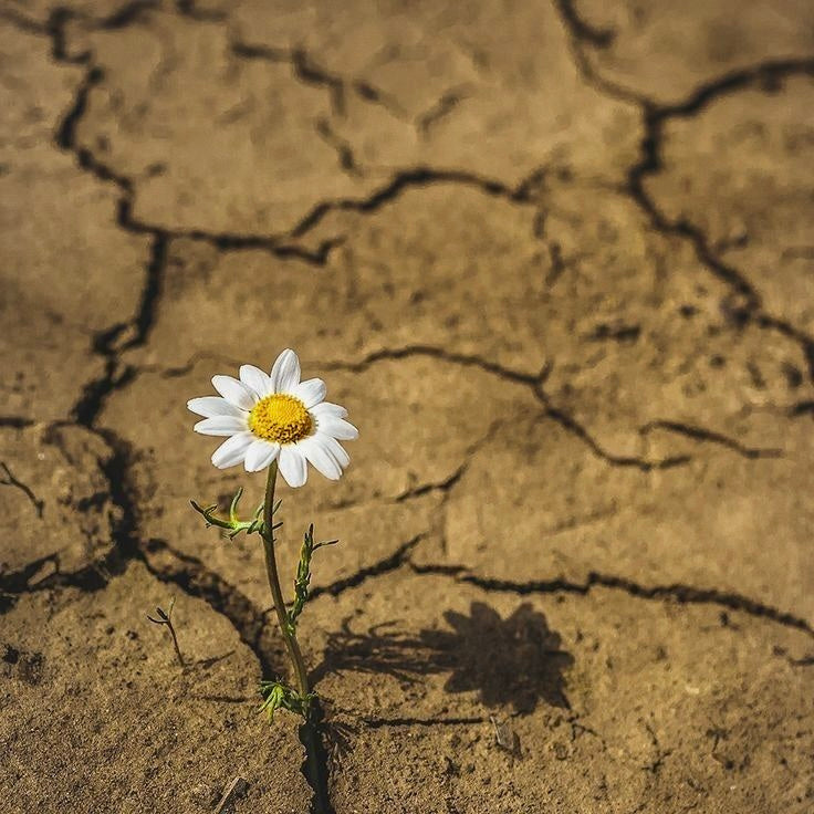 2025: L'ANNO DELLA TRANSIZIONE IBRIDA