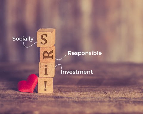 N. 20 | Investimenti responsabili e profittabilità 