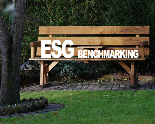 N. 7 | ESG, un must have per le imprese 