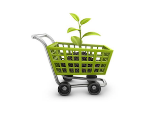 LA SOSTENIBILITÀ DELLA FILIERA DELLE PELLI E ACQUISTI PUBBLICI VERDI