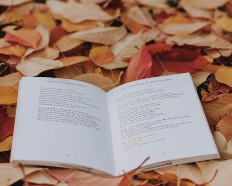 5 CONSIGLI DI LETTURA PER UN AUTUNNO SOSTENIBILE