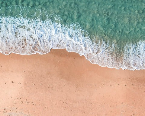 N. 52 | 28 GIUGNO - GIORNATA MONDIALE PER LA CONSERVAZIONE DELLA NATURA